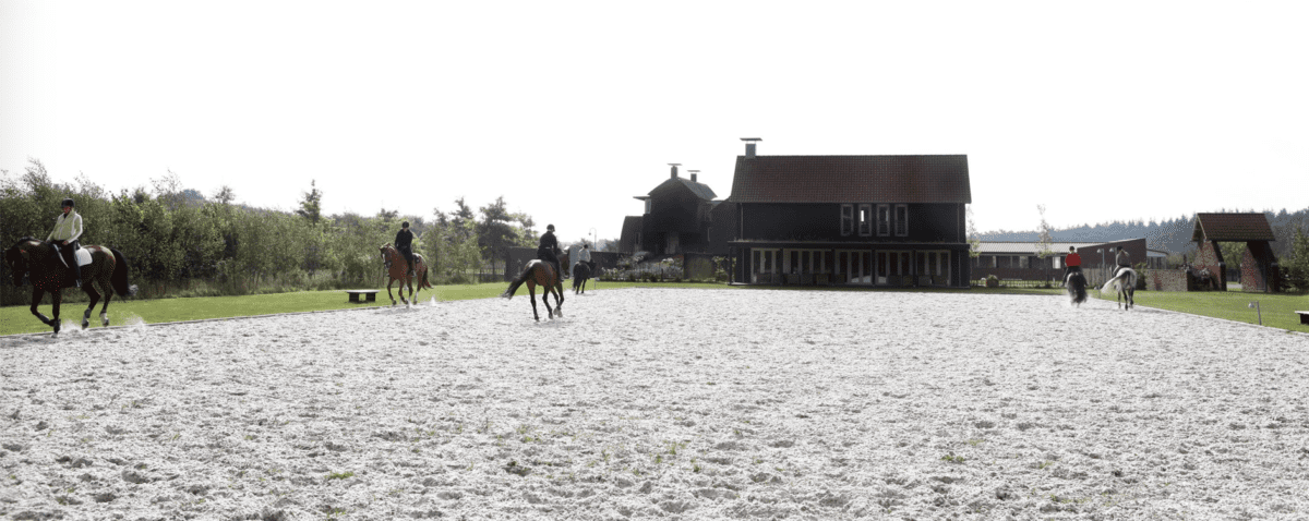 UNLP zomeropleiding