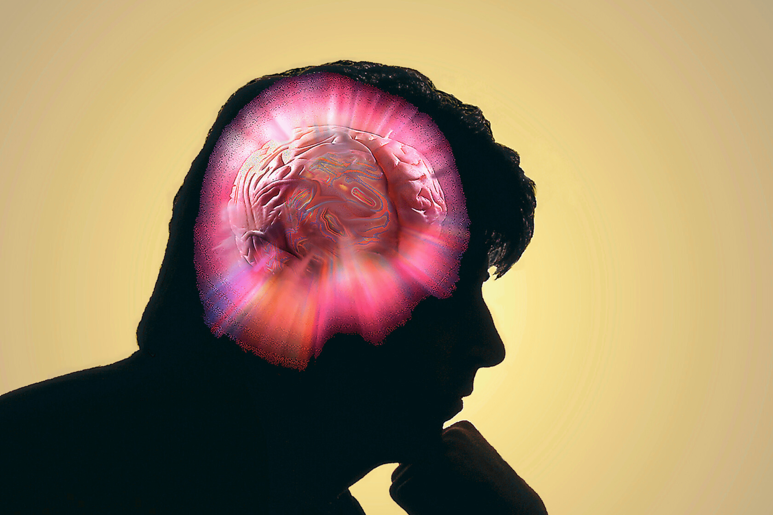 neurocoaching brein