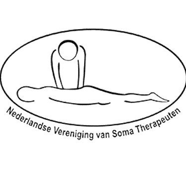 nvst logo